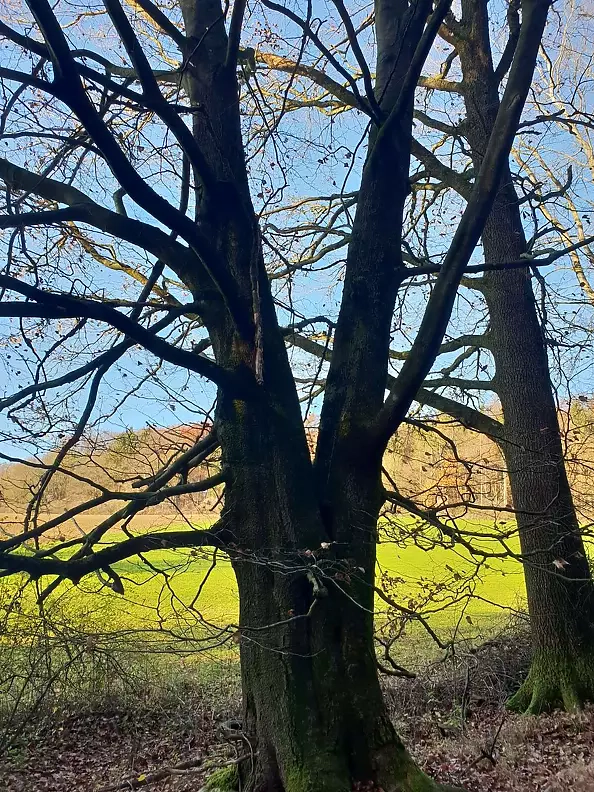 Marianna Małgorzata Bakanowicz - Siblings M.I.K