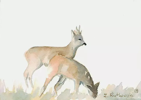 Zdzisław Rutkowski - Sarny