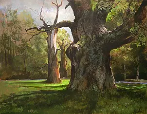 Piotr Mruk - Rogalin Oaks