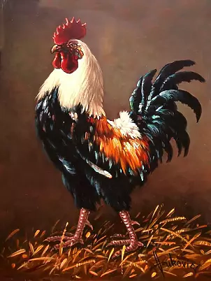 Dusan Vukovic - Rooster - the master of the yard