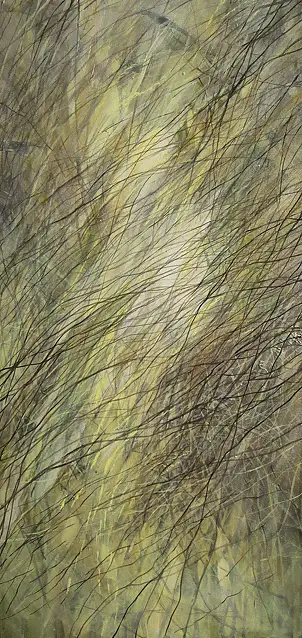 Iza Jaśniewska, Rosa -VI, Acrylic painting - canvas, 40 x 80