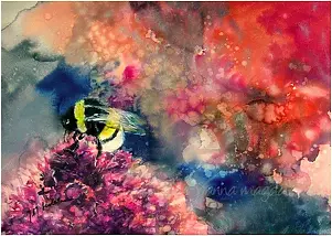 Joanna Magdalena - Rose de poudre