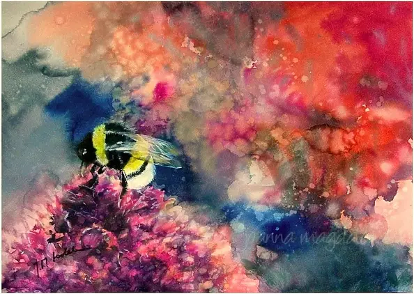 Joanna Magdalena - Rose de poudre