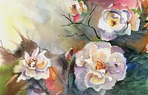 Zdzisław Rutkowski -  Róże