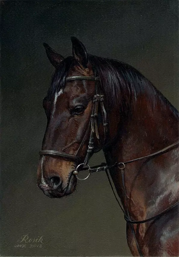 Andrzej Novak-Zemplinski - Rosik