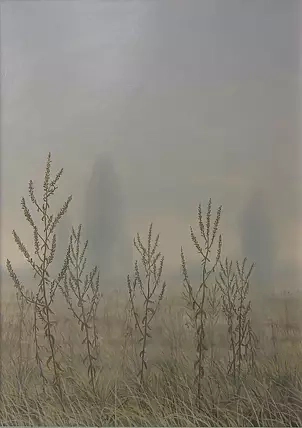   - Plants in the meadow