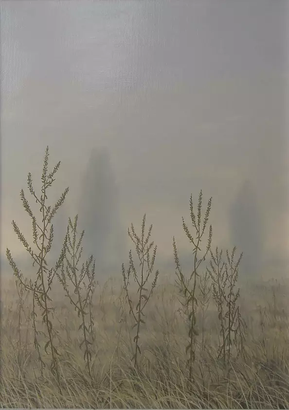 Dariusz Król - Rośliny na łące