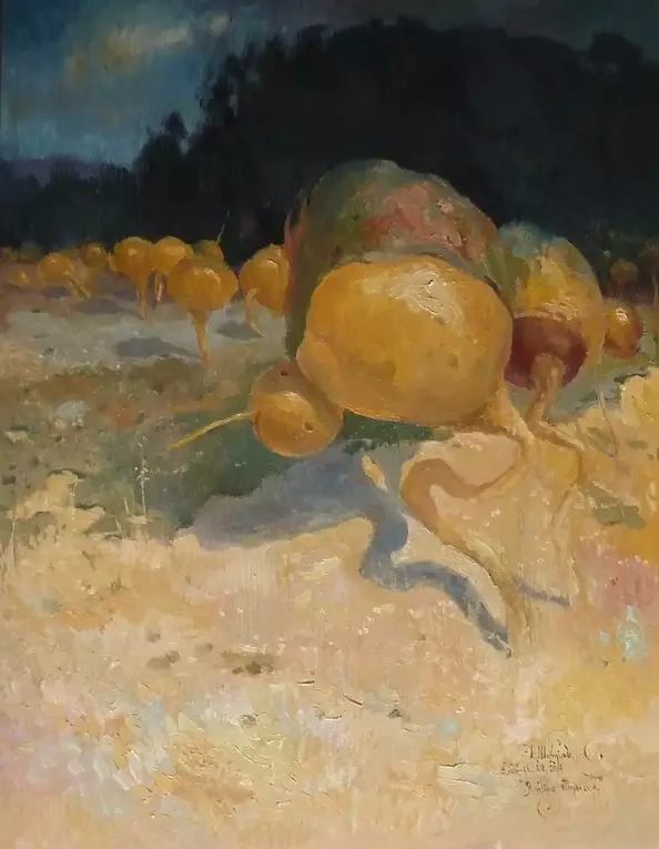 Dominik Woźniak - solar plants