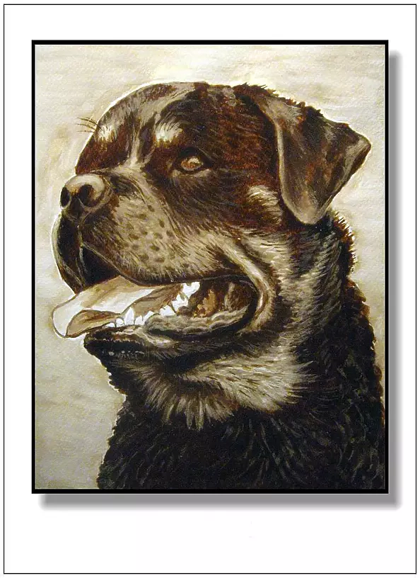 Jolanta Dusza - Rottweiler