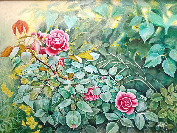 Anna Nowiszewska - Rose