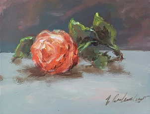 Jerzy Cichecki - Rose