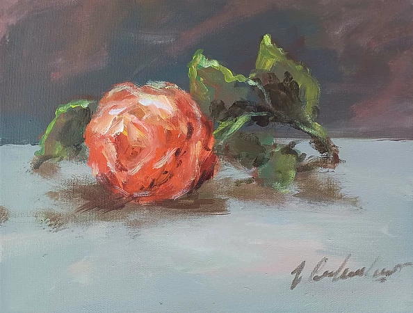 Jerzy Cichecki - Róża