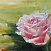 Katarzyna Piotrowska Lass - Róża