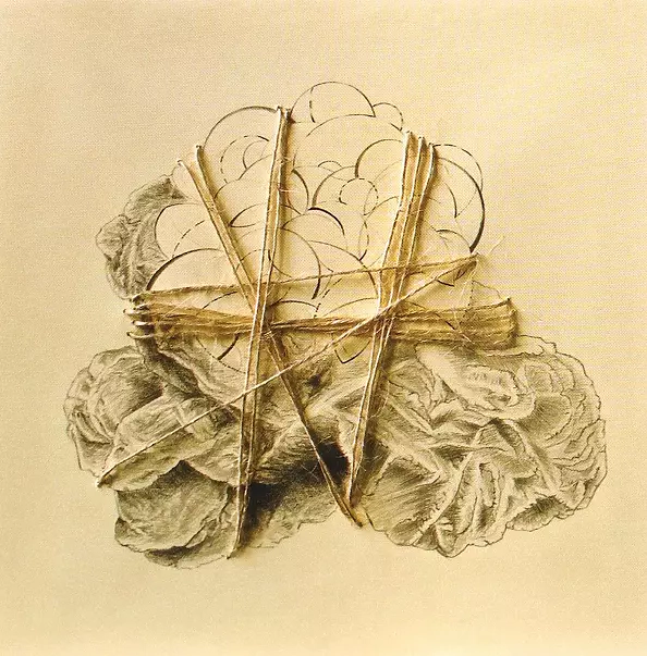 Irena Piątkiewicz - desert rose