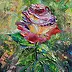 Radosław Popek - Róża