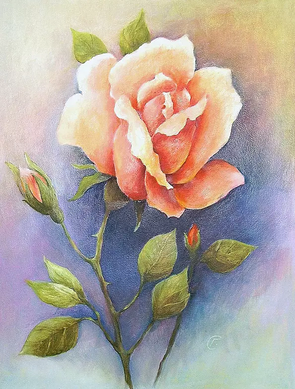 Stanisław Górski - Róża