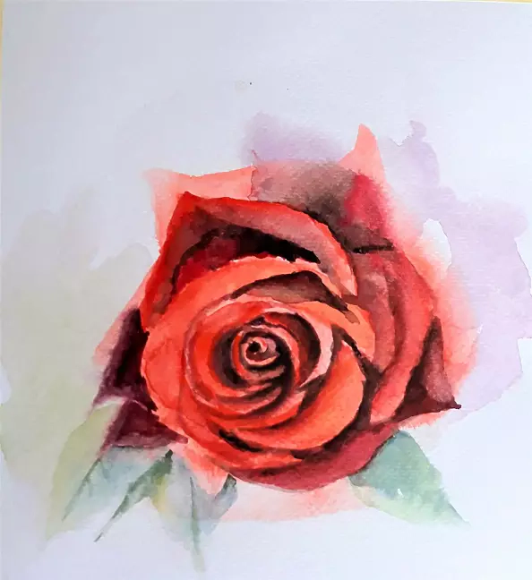 Zdzisław Rutkowski - Różą w kolorze czerwonym