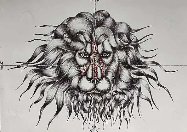 Anna Zarzycka - Wind rose