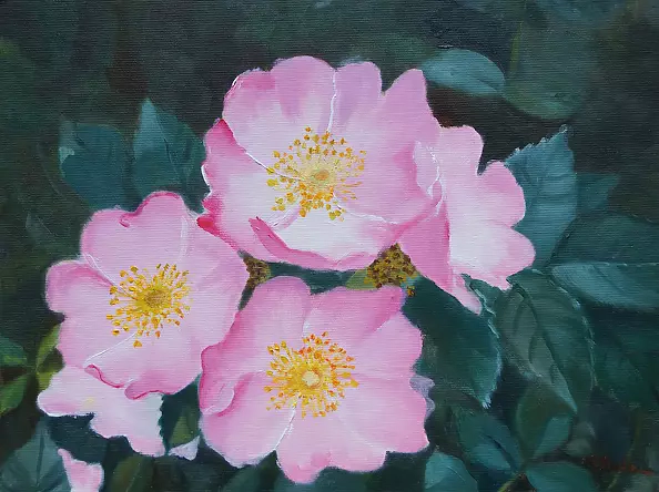 Ewa Słodzińska - roses 1