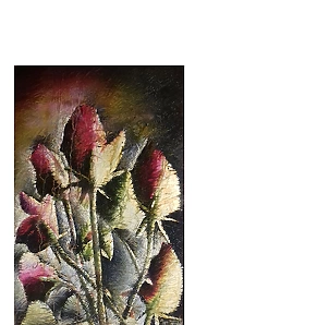 Rafał Jarosz -  Dark Roses