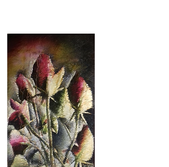 Rafał Jarosz - Dark Roses