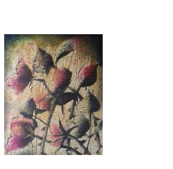 Rafał Jarosz - Róże Tornada 