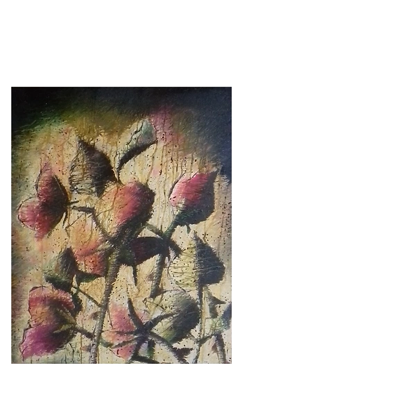 Rafał Jarosz - Róże Tornada 