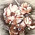 Marzena Salwowska, Róże... bo sam Szekspir nie wymyśliłby lepszego tytułu/Trawa i kwiat, Inne, Tusz - papier, 30 x 40