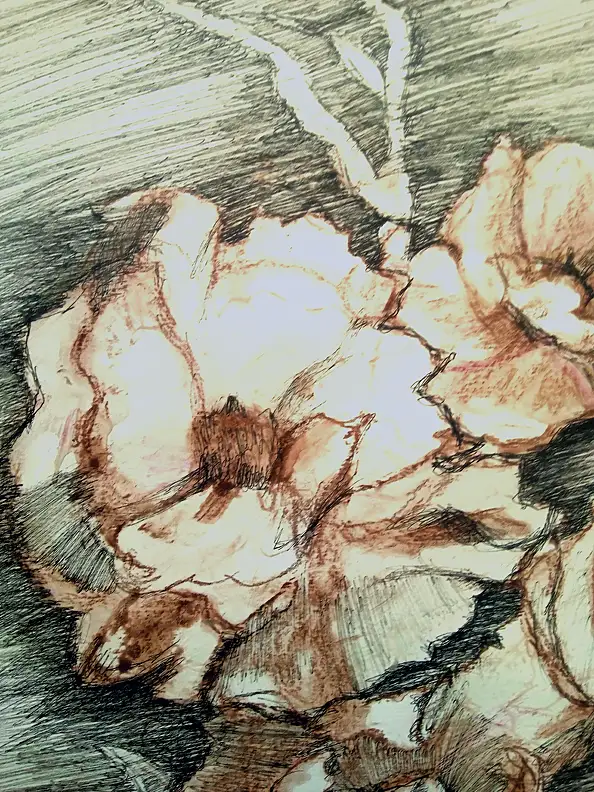 Marzena Salwowska, Róże... bo sam Szekspir nie wymyśliłby lepszego tytułu/Trawa i kwiat, Inne, Tusz - papier, 30 x 40