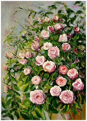   - Gartenrosen 50-70 cm 