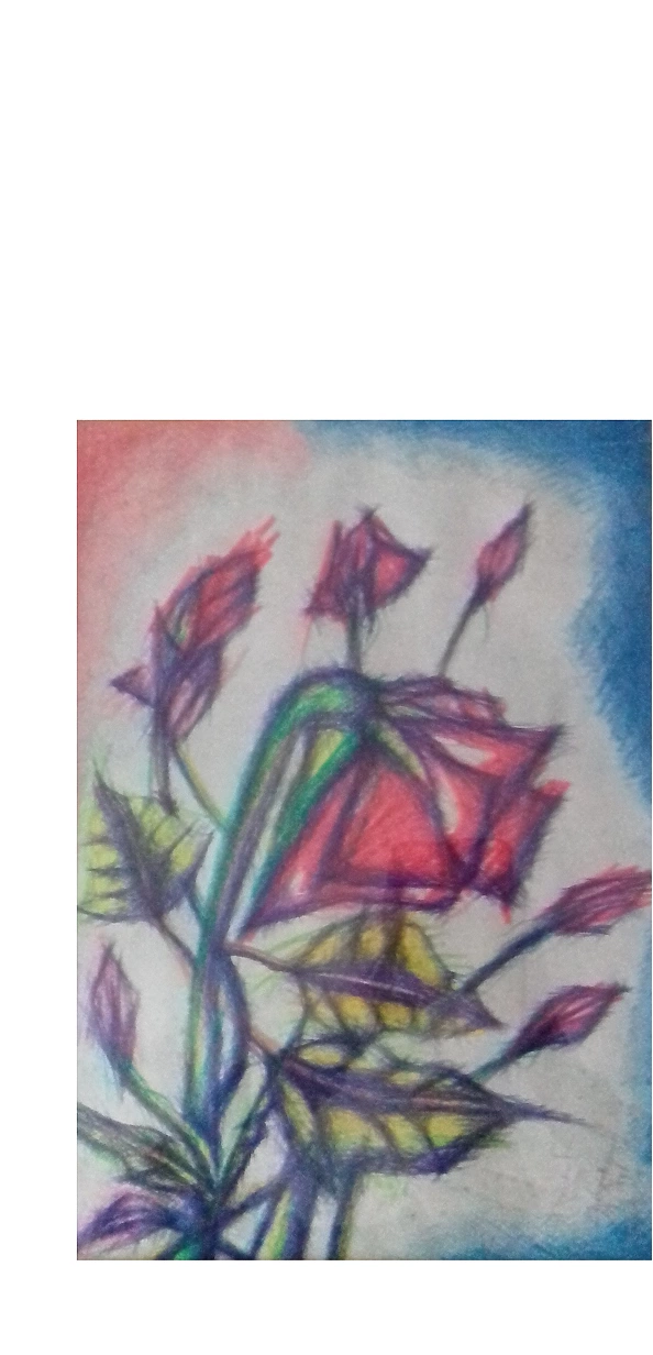 Rafał Jarosz - Rozkwitające Maki