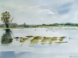Zdzisław Rutkowski - Biebrza flood plain III