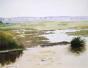 Zdzisław Rutkowski - Biebrza flood plain II