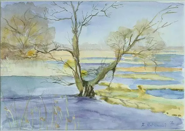 Zdzisław Rutkowski - backwaters rz.Biebrzy