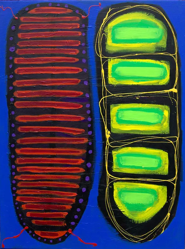 Paweł Zakrzewski - Rozmowy kokonów