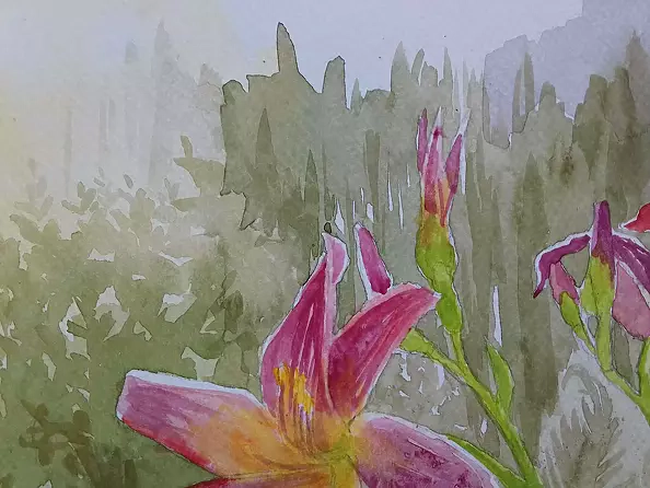 Dorota Kędzierska - Pink Lilies 2