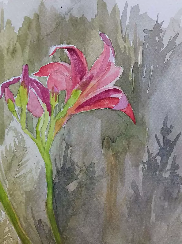 Dorota Kędzierska - Pink Lilies 2