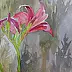 Dorota Kędzierska - Pink Lilies 2