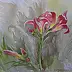 Dorota Kędzierska - Pink lilies
