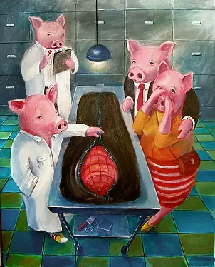 Maciej Wierzbicki - Recognition