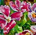Barbara Gulbinowicz, Tulipano aperto, Quadro a olio - tela, 110 x 120