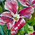 Barbara Gulbinowicz, Tulipano aperto, Quadro a olio - tela, 110 x 120