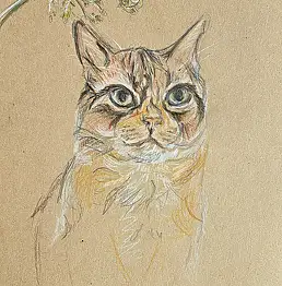 Amelia Augustyn, Руди, крейда, Олівець - папір, 21 x 29