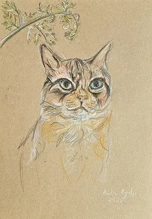 Amelia Augustyn - Rudy