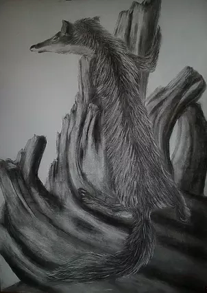 Anna Maria Modrzejewska - red