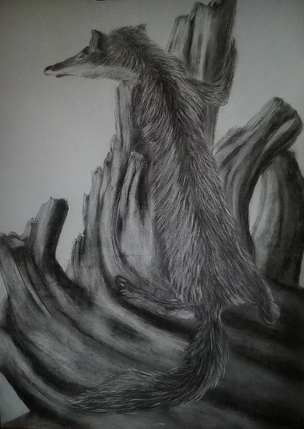 Anna Maria Modrzejewska - red