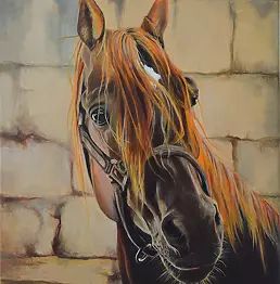 Agnieszka Morysiak - Rudy