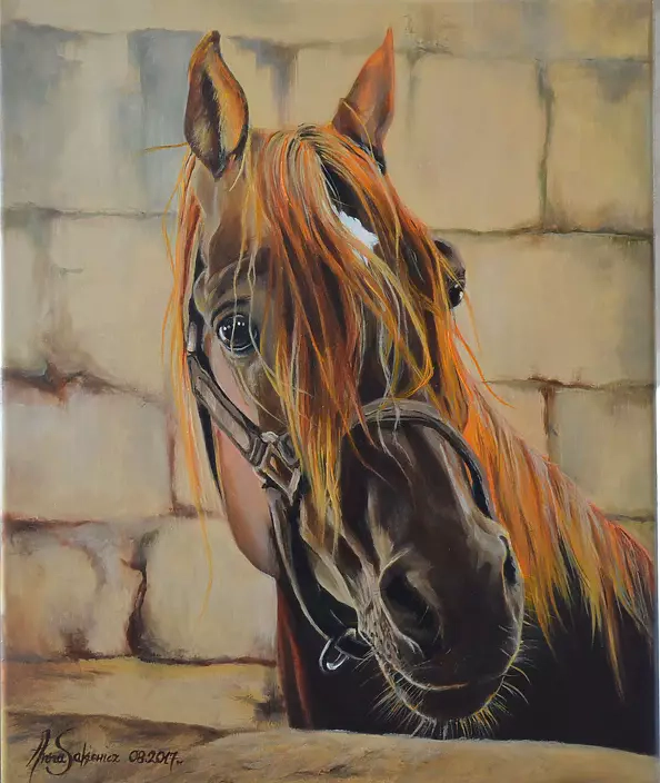 Agnieszka Morysiak - red