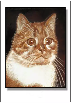 Jolanta Dusza - Rudy