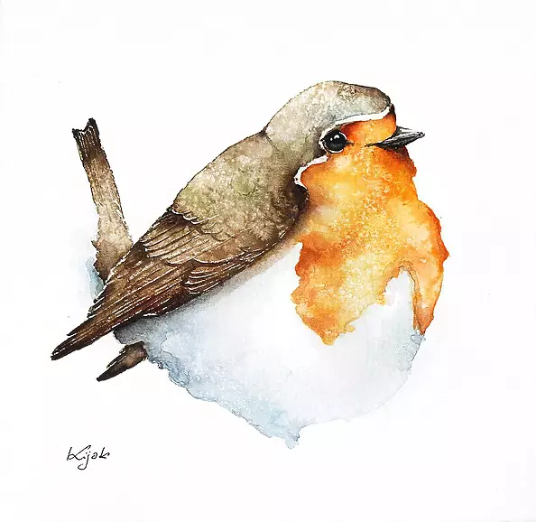 Karolina Kijak - Robin 02